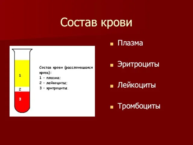 Состав крови Плазма Эритроциты Лейкоциты Тромбоциты