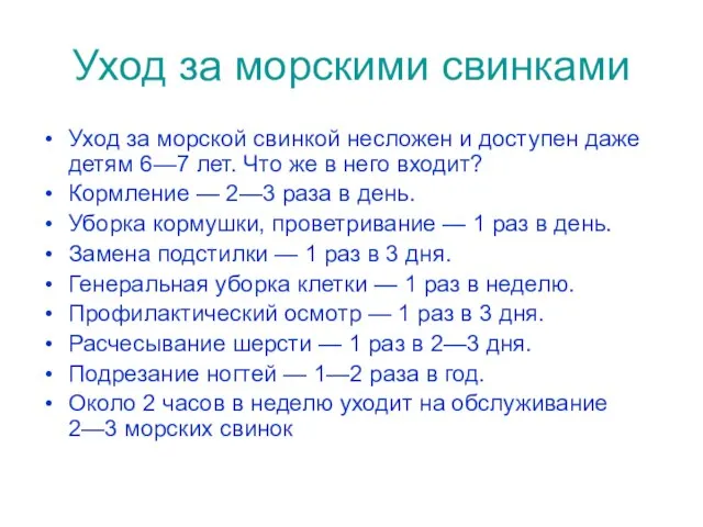 Уход за морскими свинками Уход за морской свинкой несложен и доступен даже