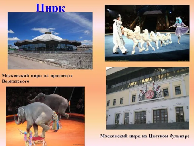 Цирк Московский цирк на Цветном бульваре Московский цирк на проспекте Вернадского