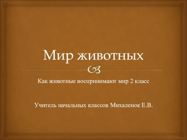 Презентация на тему Как животные воспринимают мир