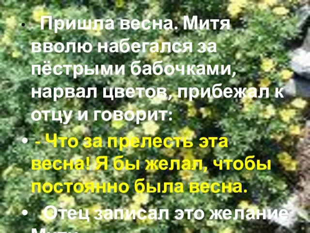 Пришла весна. Митя вволю набегался за пёстрыми бабочками, нарвал цветов, прибежал к