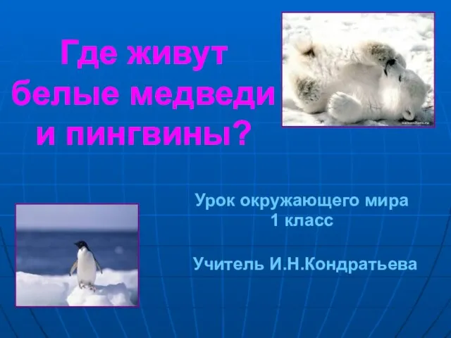 Презентация на тему Где живут белые медведи и пингвины