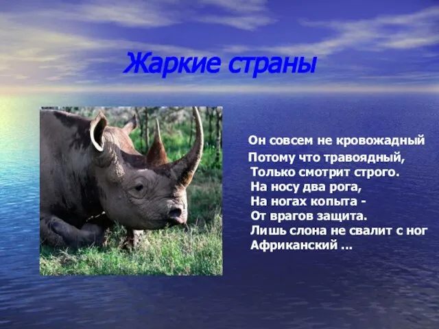 Жаркие страны Он совсем не кровожадный Потому что травоядный, Только смотрит строго.