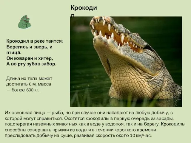 Крокодил Длина их тела может достигать 6 м, масса — более 600