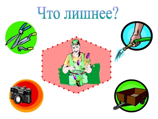 Что лишнее?