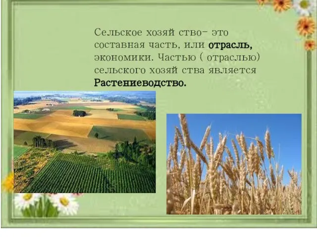 Сельское хозяйство- это составная часть, или отрасль, экономики. Частью ( отраслью) сельского хозяйства является Растениеводство.