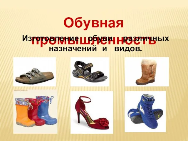 Обувная промышленность Изготовление обуви различных назначений и видов.