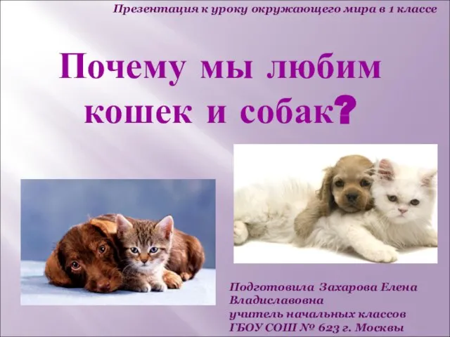 Презентация на тему Почему мы любим кошек и собак (1 класс)