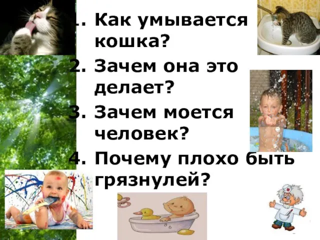 Как умывается кошка? Зачем она это делает? Зачем моется человек? Почему плохо быть грязнулей?