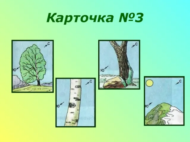 Карточка №3