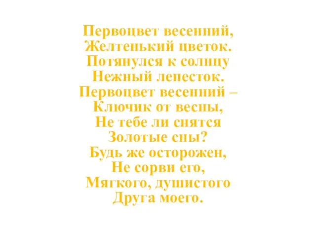 Первоцвет весенний, Желтенький цветок. Потянулся к солнцу Нежный лепесток. Первоцвет весенний –