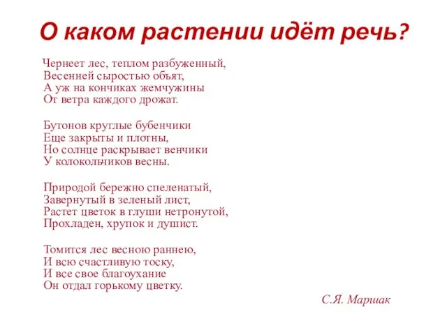 О каком растении идёт речь? Чернеет лес, теплом разбуженный, Весенней сыростью объят,