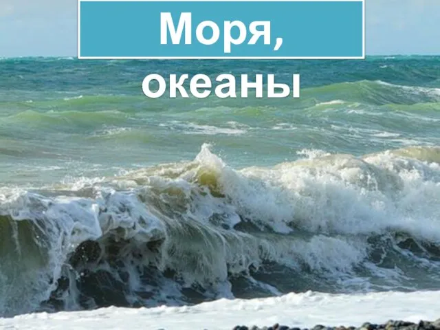 Моря, океаны