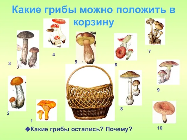 Какие грибы можно положить в корзину Какие грибы остались? Почему? 1 2