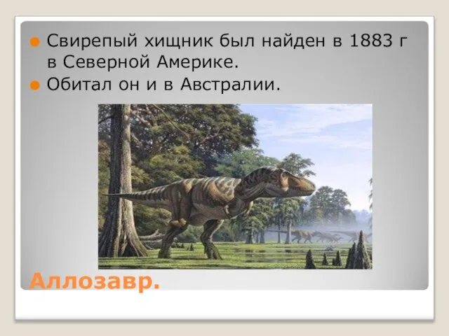 Аллозавр. Свирепый хищник был найден в 1883 г в Северной Америке. Обитал он и в Австралии.
