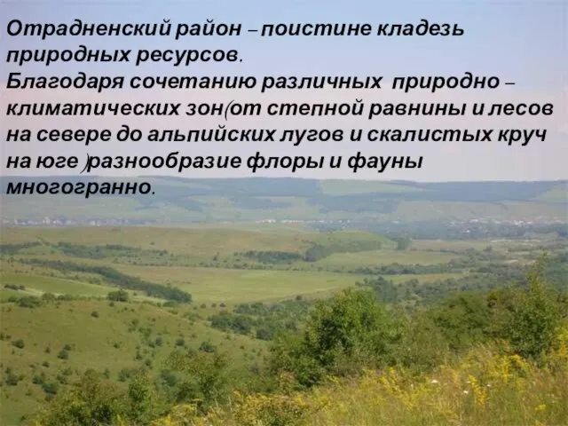 Отрадненский район – поистине кладезь природных ресурсов. Благодаря сочетанию различных природно –