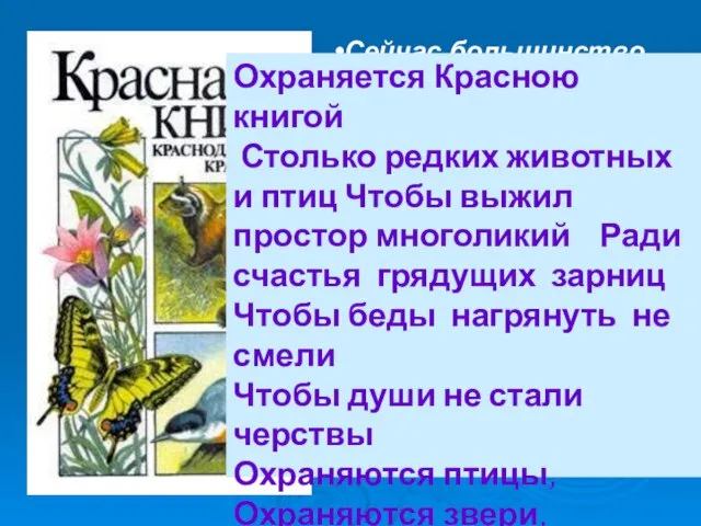 Сейчас большинство растений района занесено в Красную книгу Краснодарского края и России