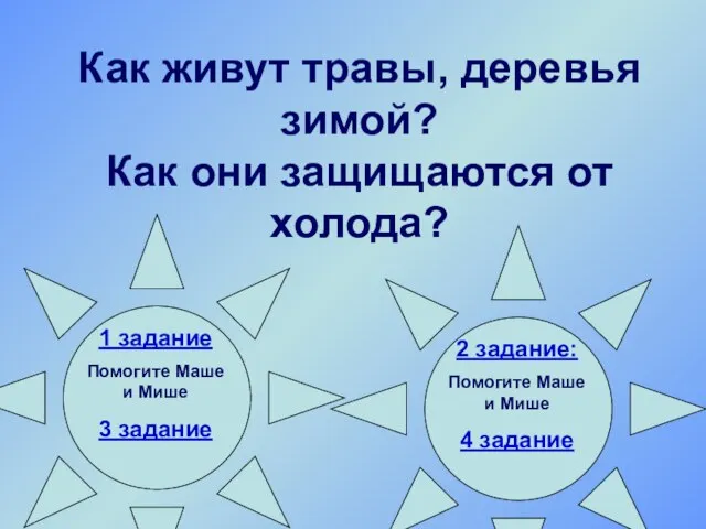 Как живут травы, деревья зимой? Как они защищаются от холода? 1 задание