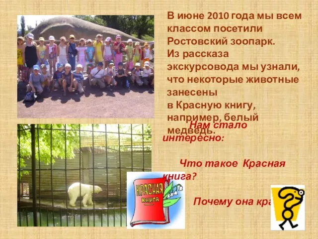 В июне 2010 года мы всем классом посетили Ростовский зоопарк. Из рассказа