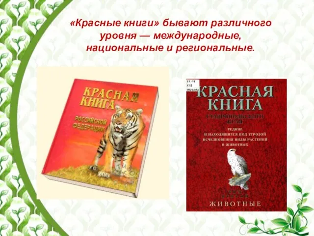 «Красные книги» бывают различного уровня — международные, национальные и региональные.