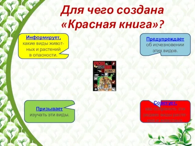 Для чего создана «Красная книга»? Информирует, какие виды живот-ных и растений в