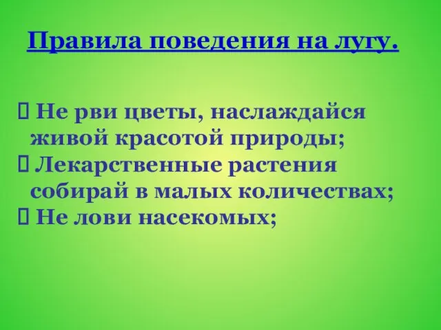 Правила поведения на лугу. Не рви цветы, наслаждайся живой красотой природы; Лекарственные