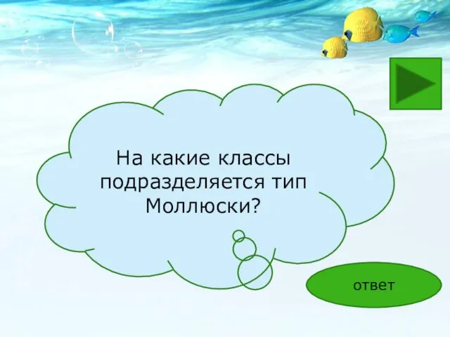 На какие классы подразделяется тип Моллюски? ответ