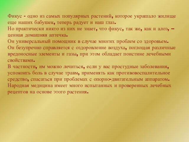 Фикус - одно из самых популярных растений, которое украшало жилище еще наших