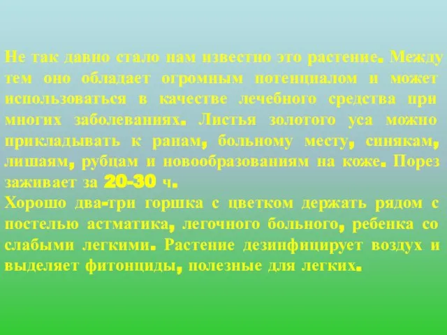 Не так давно стало нам известно это растение. Между тем оно обладает