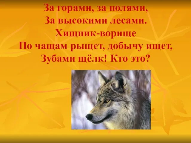 За горами, за полями, За высокими лесами. Хищник-ворище По чащам рыщет, добычу