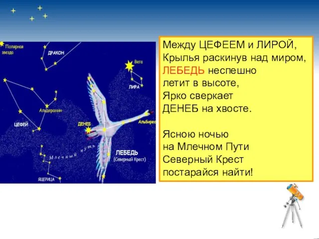 Между ЦЕФЕЕМ и ЛИРОЙ, Крылья раскинув над миром, ЛЕБЕДЬ неспешно летит в