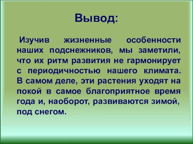 Вывод: Изучив жизненные особенности наших подснежников, мы заметили, что их ритм развития