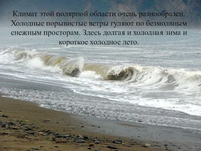 Климат этой полярной области очень разнообразен. Холодные порывистые ветры гуляют по безмолвным