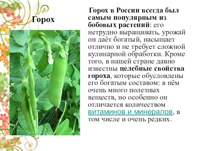 Горох Горох в России всегда был самым популярным из бобовых растений: его