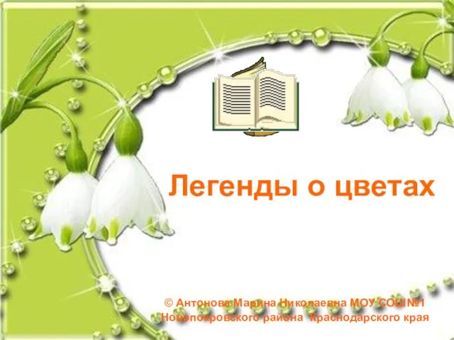 Легенды о цветах © Антонова Марина Николаевна МОУ СОШ№1 Новопокровского района Краснодарского края