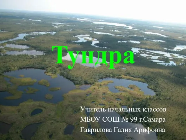Презентация на тему Природные зоны России тундра