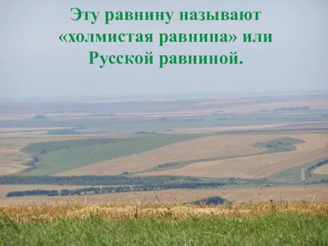 Эту равнину называют «холмистая равнина» или Русской равниной.