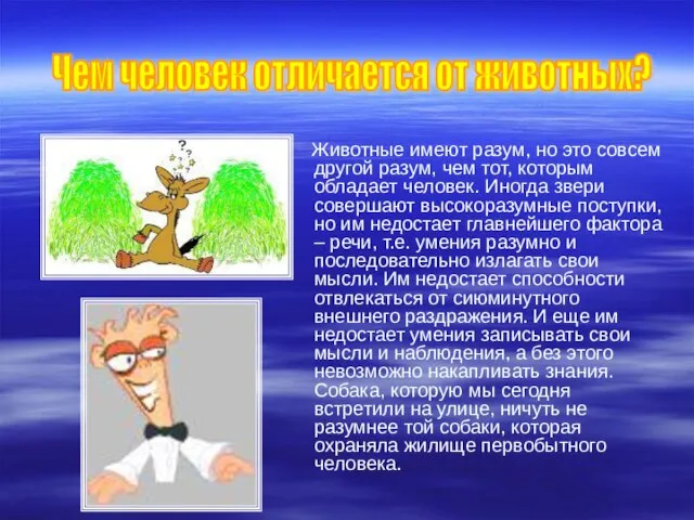 Животные имеют разум, но это совсем другой разум, чем тот, которым обладает