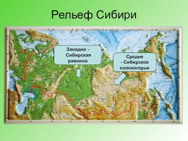Рельеф Сибири Западно - Сибирская равнина Средне - Сибирское плоскогорье