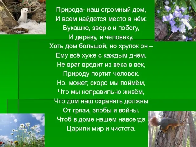 Природа- наш огромный дом, И всем найдется место в нём: Букашке, зверю