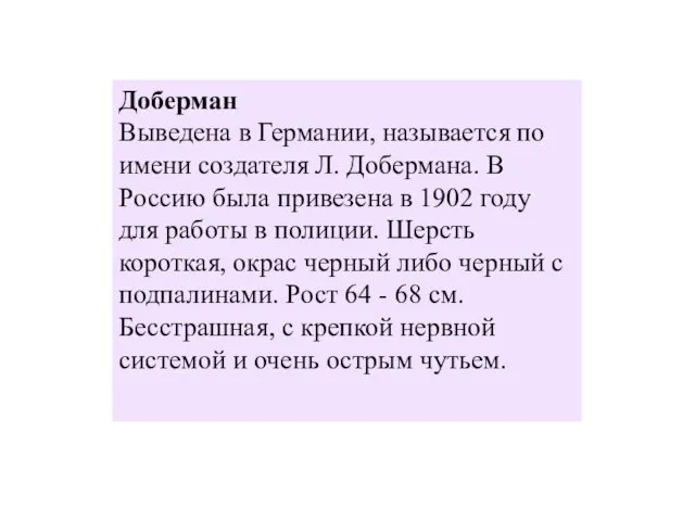 Доберман Выведена в Германии, называется по имени создателя Л. Добермана. В Россию