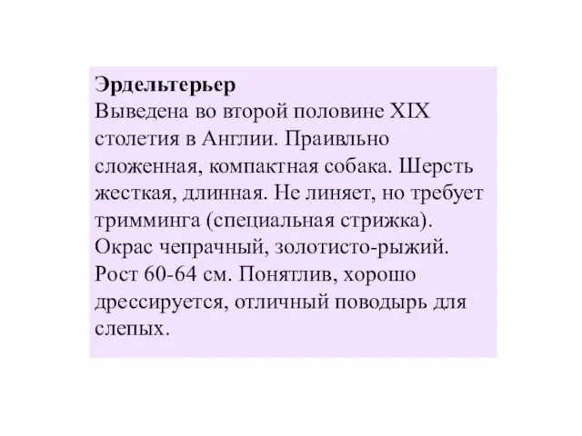 Эрдельтерьер Выведена во второй половине XIX столетия в Англии. Праивльно сложенная, компактная