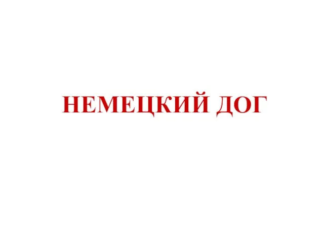 НЕМЕЦКИЙ ДОГ