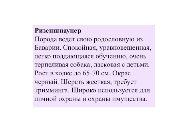 Ризеншнауцер Порода ведет свою родословную из Баварии. Спокойная, уравновешенная, легко поддающаяся обучению,