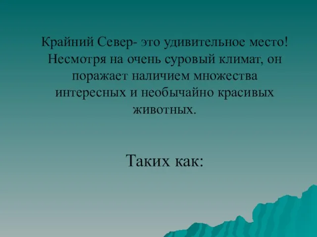 Крайний Север- это удивительное место! Несмотря на очень суровый климат, он поражает