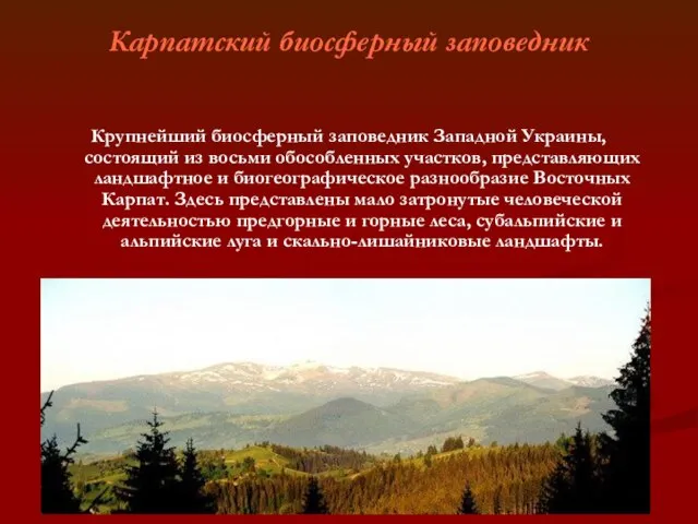 Карпатский биосферный заповедник Крупнейший биосферный заповедник Западной Украины, состоящий из восьми обособленных