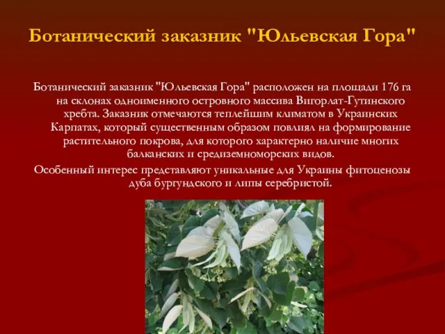 Ботанический заказник "Юльевская Гора" Ботанический заказник "Юльевская Гора" расположен на площади 176