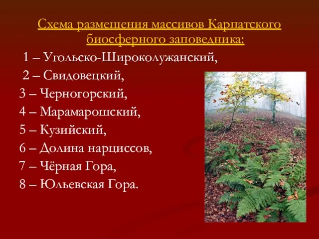 Схема размещения массивов Карпатского биосферного заповедника: 1 – Угольско-Широколужанский, 2 – Свидовецкий,