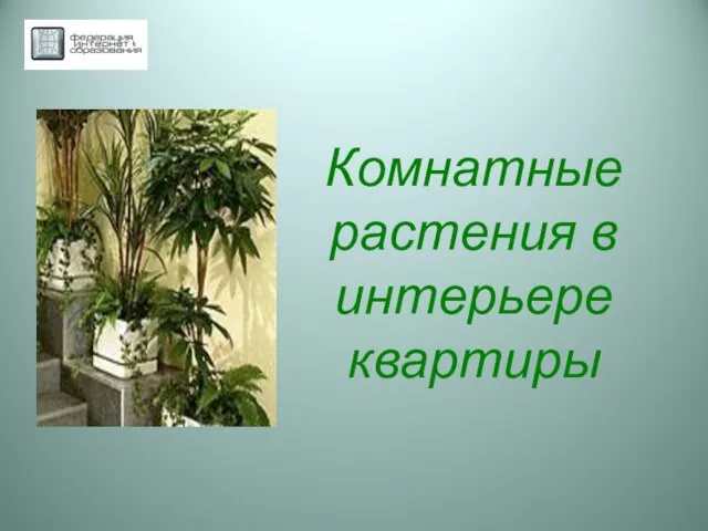 Презентация на тему Комнатные растения в интерьере квартиры