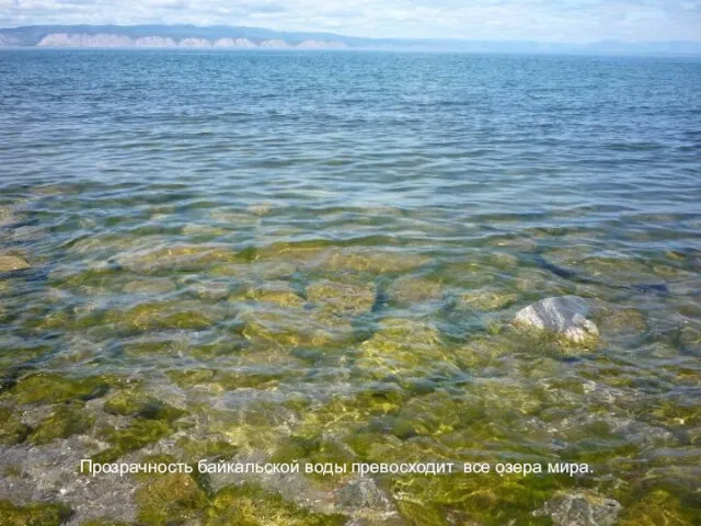 Прозрачность байкальской воды превосходит все озера мира. Прозрачность байкальской воды превосходит все озера мира.